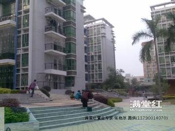 龙游龙湖湾小区最新爆料,揭秘神秘项目与周边发展动态